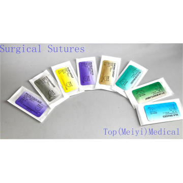 Surgical Suture with Needle (Catgut/PGA/Nylon/Silk)